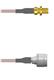 Amphenol Custom Cable Q-2X02M000R008i