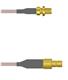 Amphenol Custom Cable Q-2X03N000R008i
