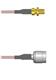 Amphenol Custom Cable Q-2X053000R008i