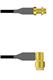 Amphenol Custom Cable Q-2Y0360008006i