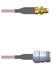 Amphenol Custom Cable Q-31024000H096i