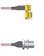 Amphenol Custom Cable Q-3401U0005012i