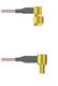 Amphenol Custom Cable Q-3403I0005012i