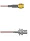 Amphenol Custom Cable Q-3B0040005012i