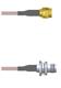 Amphenol Custom Cable Q-3B04E0005012i