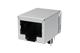 Amphenol Commercial Products RJMG1S8008101BR