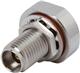 Amphenol / SV Microwave SF1521-60045