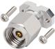 Amphenol / SV Microwave SF1611-60021-2S