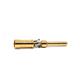 Anderson Power Products PM16P1620S30-50