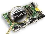 Microchip Technology AT91SAM9G20-EK 扩大的图像