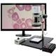 Aven 26700-124