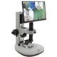 Aven 26700-151-C05-260-506