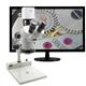 Aven DSZV-44-258-512