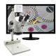 Aven SPZV-50E-258-514-ESD