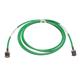 Trompeter / Cinch Connectivity Solutions PCYC-84-50