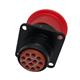Cinch MS24264R12B12PN