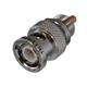 Trompeter / Cinch Connectivity Solutions PL21