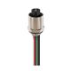 Lumberg Automation RKFP 3-1/2NPT-800/0.5M