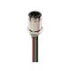 Lumberg Automation RSFP 3-1/2NPT-800/0.5M