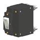 Carling Technologies C62-B0-14-450-31B-MG