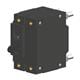 Carling Technologies CB2-B0-24-625-221-C