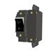 Carling Technologies CD2-B0-24-630-21A-D