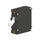 Carling Technologies AA1-B0-22-450-1B1-C