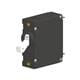 Carling Technologies AA1-B0-24-620-1B1-C