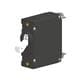 Carling Technologies AA1-B0-34-610-511-P