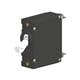Carling Technologies AA1-B0-34-650-5B1-C