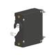 Carling Technologies AA1-B0-52-640-5B1-C