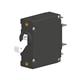 Carling Technologies AA1-F0-10-620-1B1-C