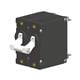 Carling Technologies AA2-B0-24-640-5B1-C
