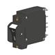 Carling Technologies AG1-B2-12-630-313-C