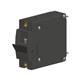 Carling Technologies AY1-B0-24-615-121-KC