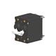 Carling Technologies BA2-B0-21-630-211-D