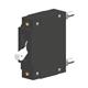Carling Technologies CA1-B0-24-615-111-KF