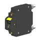 Carling Technologies CO1-B0-34-660-3NB-I
