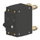 Carling Technologies CT2-P2-D4-820-A21-MT