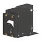 Carling Technologies J62-B0-24-620-41C-D3