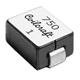 Coilcraft SLC1049-101MLC