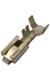 Aptiv (formerly Delphi) 12052221-L