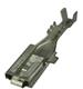 Aptiv (formerly Delphi) 12065894-L