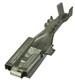 Aptiv (formerly Delphi) 12065915