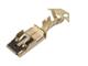 Aptiv (formerly Delphi) 12065915-L