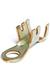 Aptiv (formerly Delphi) 12146429