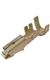 Aptiv (formerly Delphi) 12176387-L