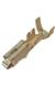 Aptiv (formerly Delphi) 12176388-L