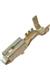 Aptiv (formerly Delphi) 12176389-L