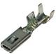 Aptiv (formerly Delphi) 12185008